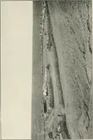 Picture 45 of 193 from Explorations in Bible lands during the 19th century (1903), leaf 378
