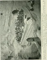An illustration from Explorations in Bible lands during the 19th century (1903)