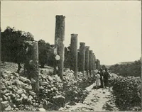 Picture 119 of 193 from Explorations in Bible lands during the 19th century (1903), leaf 690
