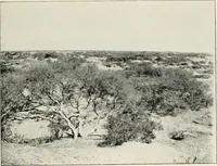 An illustration from Explorations in Bible lands during the 19th century (1903)