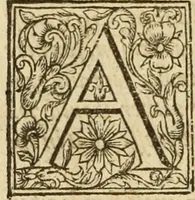 An illustration from An exposition vpon the Epistle to the Colossians : wherein, not onely the text is methodically analysed, and the sence of the words, by the help of writers, both ancient and moderne is explayned : but also, by doctrine and vse, the intent of the Holy Ghost is in euery place more fully vnfolded and vrged : and besides, the very marrow of most common-places is aptly diffused throughout the body of this exposition, as the nature of this kinde of teaching would beare : and further, many chiefe cases of conscience are here resolued : being, the substance of neare seuen yeeres weeke-dayes sermons (1617)