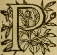 Picture 21 of 93 from Expositio analytica omnium Apostolicarum Epistolarum, seu, Brevis introductio ad pleniores commentarios : in usum studiosorum theologiae (1647), leaf 120