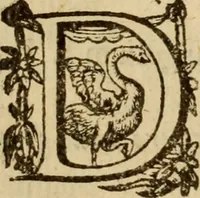 Picture 24 of 93 from Expositio analytica omnium Apostolicarum Epistolarum, seu, Brevis introductio ad pleniores commentarios : in usum studiosorum theologiae (1647), leaf 135