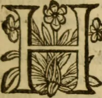 Picture 8 of 93 from Expositio analytica omnium Apostolicarum Epistolarum, seu, Brevis introductio ad pleniores commentarios : in usum studiosorum theologiae (1647), leaf 16