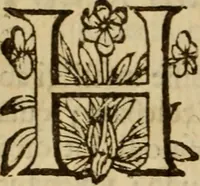 Picture 30 of 93 from Expositio analytica omnium Apostolicarum Epistolarum, seu, Brevis introductio ad pleniores commentarios : in usum studiosorum theologiae (1647), leaf 171