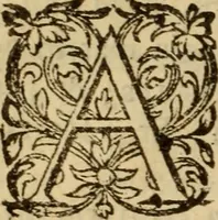 Picture 31 of 93 from Expositio analytica omnium Apostolicarum Epistolarum, seu, Brevis introductio ad pleniores commentarios : in usum studiosorum theologiae (1647), leaf 175