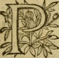 Picture 33 of 93 from Expositio analytica omnium Apostolicarum Epistolarum, seu, Brevis introductio ad pleniores commentarios : in usum studiosorum theologiae (1647), leaf 186