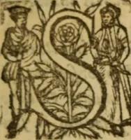 Picture 11 of 93 from Expositio analytica omnium Apostolicarum Epistolarum, seu, Brevis introductio ad pleniores commentarios : in usum studiosorum theologiae (1647), leaf 20