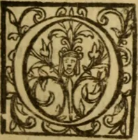 Picture 34 of 93 from Expositio analytica omnium Apostolicarum Epistolarum, seu, Brevis introductio ad pleniores commentarios : in usum studiosorum theologiae (1647), leaf 206