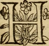 Picture 12 of 93 from Expositio analytica omnium Apostolicarum Epistolarum, seu, Brevis introductio ad pleniores commentarios : in usum studiosorum theologiae (1647), leaf 21