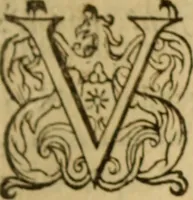 Picture 35 of 93 from Expositio analytica omnium Apostolicarum Epistolarum, seu, Brevis introductio ad pleniores commentarios : in usum studiosorum theologiae (1647), leaf 214