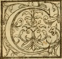 Picture 36 of 93 from Expositio analytica omnium Apostolicarum Epistolarum, seu, Brevis introductio ad pleniores commentarios : in usum studiosorum theologiae (1647), leaf 217