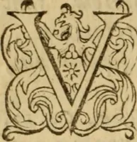Picture 38 of 93 from Expositio analytica omnium Apostolicarum Epistolarum, seu, Brevis introductio ad pleniores commentarios : in usum studiosorum theologiae (1647), leaf 237