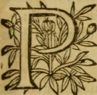 Picture 40 of 93 from Expositio analytica omnium Apostolicarum Epistolarum, seu, Brevis introductio ad pleniores commentarios : in usum studiosorum theologiae (1647), leaf 254