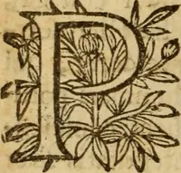 Picture 44 of 93 from Expositio analytica omnium Apostolicarum Epistolarum, seu, Brevis introductio ad pleniores commentarios : in usum studiosorum theologiae (1647), leaf 287
