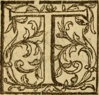 Picture 45 of 93 from Expositio analytica omnium Apostolicarum Epistolarum, seu, Brevis introductio ad pleniores commentarios : in usum studiosorum theologiae (1647), leaf 291