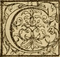 Picture 46 of 93 from Expositio analytica omnium Apostolicarum Epistolarum, seu, Brevis introductio ad pleniores commentarios : in usum studiosorum theologiae (1647), leaf 295