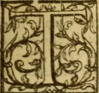 An illustration from Expositio analytica omnium Apostolicarum Epistolarum, seu, Brevis introductio ad pleniores commentarios : in usum studiosorum theologiae (1647)