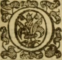 Picture 50 of 93 from Expositio analytica omnium Apostolicarum Epistolarum, seu, Brevis introductio ad pleniores commentarios : in usum studiosorum theologiae (1647), leaf 352