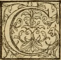 Picture 13 of 93 from Expositio analytica omnium Apostolicarum Epistolarum, seu, Brevis introductio ad pleniores commentarios : in usum studiosorum theologiae (1647), leaf 37