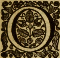 An illustration from Expositio analytica omnium Apostolicarum Epistolarum, seu, Brevis introductio ad pleniores commentarios : in usum studiosorum theologiae (1647)