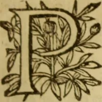 Picture 55 of 93 from Expositio analytica omnium Apostolicarum Epistolarum, seu, Brevis introductio ad pleniores commentarios : in usum studiosorum theologiae (1647), leaf 406