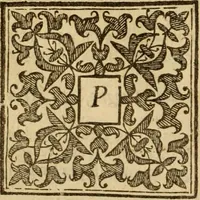 Picture 56 of 93 from Expositio analytica omnium Apostolicarum Epistolarum, seu, Brevis introductio ad pleniores commentarios : in usum studiosorum theologiae (1647), leaf 411
