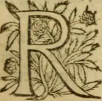 Picture 57 of 93 from Expositio analytica omnium Apostolicarum Epistolarum, seu, Brevis introductio ad pleniores commentarios : in usum studiosorum theologiae (1647), leaf 436