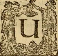 Picture 58 of 93 from Expositio analytica omnium Apostolicarum Epistolarum, seu, Brevis introductio ad pleniores commentarios : in usum studiosorum theologiae (1647), leaf 441