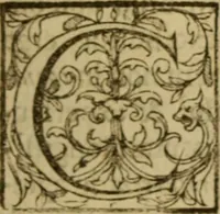 Picture 59 of 93 from Expositio analytica omnium Apostolicarum Epistolarum, seu, Brevis introductio ad pleniores commentarios : in usum studiosorum theologiae (1647), leaf 452