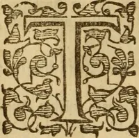 Picture 60 of 93 from Expositio analytica omnium Apostolicarum Epistolarum, seu, Brevis introductio ad pleniores commentarios : in usum studiosorum theologiae (1647), leaf 477