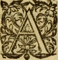 Picture 61 of 93 from Expositio analytica omnium Apostolicarum Epistolarum, seu, Brevis introductio ad pleniores commentarios : in usum studiosorum theologiae (1647), leaf 488