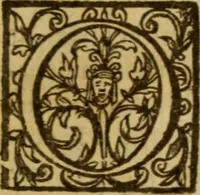 Picture 63 of 93 from Expositio analytica omnium Apostolicarum Epistolarum, seu, Brevis introductio ad pleniores commentarios : in usum studiosorum theologiae (1647), leaf 498