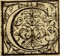 Picture 66 of 93 from Expositio analytica omnium Apostolicarum Epistolarum, seu, Brevis introductio ad pleniores commentarios : in usum studiosorum theologiae (1647), leaf 527