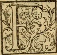 Picture 15 of 93 from Expositio analytica omnium Apostolicarum Epistolarum, seu, Brevis introductio ad pleniores commentarios : in usum studiosorum theologiae (1647), leaf 53