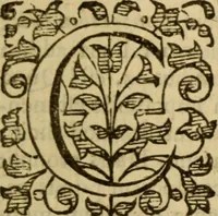 Picture 70 of 93 from Expositio analytica omnium Apostolicarum Epistolarum, seu, Brevis introductio ad pleniores commentarios : in usum studiosorum theologiae (1647), leaf 576