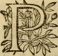 Picture 71 of 93 from Expositio analytica omnium Apostolicarum Epistolarum, seu, Brevis introductio ad pleniores commentarios : in usum studiosorum theologiae (1647), leaf 585