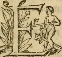 Picture 72 of 93 from Expositio analytica omnium Apostolicarum Epistolarum, seu, Brevis introductio ad pleniores commentarios : in usum studiosorum theologiae (1647), leaf 589