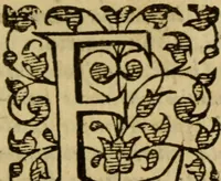 Picture 73 of 93 from Expositio analytica omnium Apostolicarum Epistolarum, seu, Brevis introductio ad pleniores commentarios : in usum studiosorum theologiae (1647), leaf 594