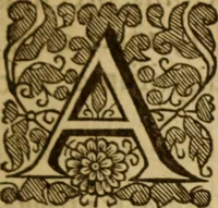 An illustration from Expositio analytica omnium Apostolicarum Epistolarum, seu, Brevis introductio ad pleniores commentarios : in usum studiosorum theologiae (1647)