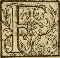 Picture 75 of 93 from Expositio analytica omnium Apostolicarum Epistolarum, seu, Brevis introductio ad pleniores commentarios : in usum studiosorum theologiae (1647), leaf 615
