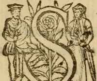 Picture 76 of 93 from Expositio analytica omnium Apostolicarum Epistolarum, seu, Brevis introductio ad pleniores commentarios : in usum studiosorum theologiae (1647), leaf 619