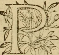 An illustration from Expositio analytica omnium Apostolicarum Epistolarum, seu, Brevis introductio ad pleniores commentarios : in usum studiosorum theologiae (1647)