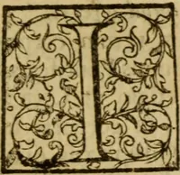 An illustration from Expositio analytica omnium Apostolicarum Epistolarum, seu, Brevis introductio ad pleniores commentarios : in usum studiosorum theologiae (1647)