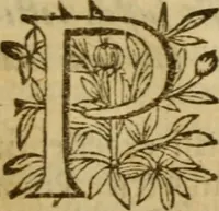 Picture 80 of 93 from Expositio analytica omnium Apostolicarum Epistolarum, seu, Brevis introductio ad pleniores commentarios : in usum studiosorum theologiae (1647), leaf 656