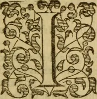 Picture 83 of 93 from Expositio analytica omnium Apostolicarum Epistolarum, seu, Brevis introductio ad pleniores commentarios : in usum studiosorum theologiae (1647), leaf 688
