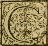 Picture 86 of 93 from Expositio analytica omnium Apostolicarum Epistolarum, seu, Brevis introductio ad pleniores commentarios : in usum studiosorum theologiae (1647), leaf 734