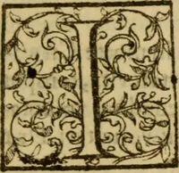Picture 87 of 93 from Expositio analytica omnium Apostolicarum Epistolarum, seu, Brevis introductio ad pleniores commentarios : in usum studiosorum theologiae (1647), leaf 740