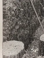 Picture 5 of 12 from L'Exposition de Paris (1900) (1900), leaf 125