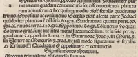 Picture 4 of 6 from Expositionis canonu[m] la Camillo Leonardo Expositionis canonu[m ibri desiderati equaitionis celestiu[m] motuum sine calculo, leaf 39